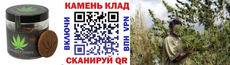 где купить наркоту  OMG вход  Cannafood марихуана  Калач 