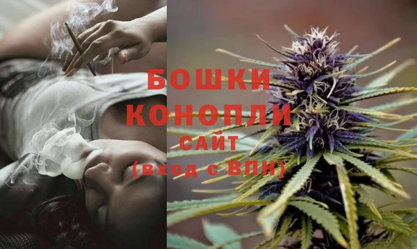 ПСИЛОЦИБИНОВЫЕ ГРИБЫ Бронницы